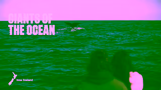 Tourism New Zealand Discover when New Zealand is best for you Ad Commercial Brand Imagery Photoshoot 0