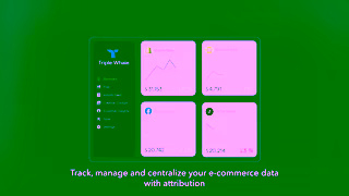 Triple Whale Scale It To The Moon Wayne 15 Sec Ad Commercial Brand Imagery Photoshoot 0