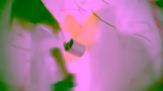 Pandora BE LOVE Ad Commercial Brand Imagery Photoshoot 1