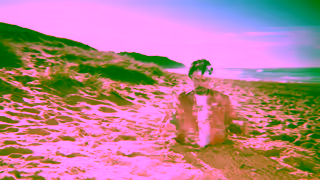 Weber Feed your Qriosity with the Weber Q Ad Commercial Brand Imagery Photoshoot 0