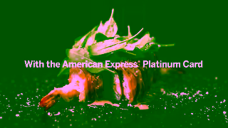 American Express The American Express Platinum Card Ad Commercial Brand Imagery Photoshoot 0