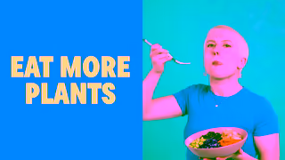 Soulara Soulara plantrich readymade meals Brand Ad Commercial Brand Imagery Photoshoot 0