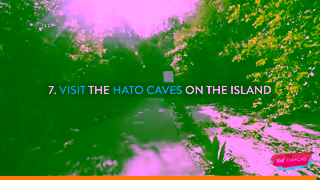 Visit Curacao 7 Adventurous Things To Do In Curaao Curaao Island Travel Guide Ad Commercial Brand Imagery Photoshoot 2