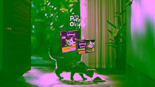 Whiskas Its Purr OClock Ad Commercial Brand Imagery Photoshoot 2