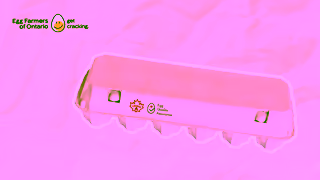 Egg Farmers of Ontario Egg Nutrition Ad Commercial Brand Imagery Photoshoot 0