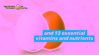 Egg Farmers of Ontario Egg Nutrition Ad Commercial Brand Imagery Photoshoot 1