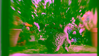 Whiskas Its Purr OClock Ad Commercial Brand Imagery Photoshoot 1