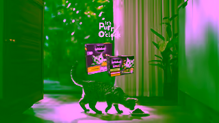 Whiskas Its Purr OClock Ad Commercial Brand Imagery Photoshoot 2