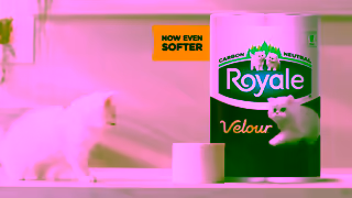 ROYALE Now Even Softer Ad Commercial Brand Imagery Photoshoot 0