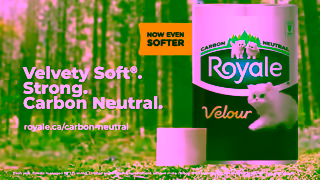 ROYALE Now Even Softer Ad Commercial Brand Imagery Photoshoot 2