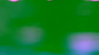 SeaWorld San Antonio SWC2460ReasonsToVisitSummerSaleMULTISvUpTo65PcExtendedYT30ENG Ad Commercial Brand Imagery Photoshoot 2