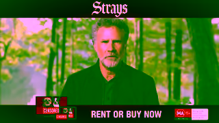 Universal Pictures STRAYS  RENT OR BUY NOW Ad Commercial Brand Imagery Photoshoot 0