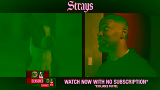 Universal Pictures STRAYS  RENT OR BUY NOW Ad Commercial Brand Imagery Photoshoot 2