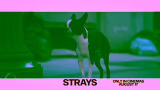 Universal Pictures Strays August 17 Ad Commercial Brand Imagery Photoshoot 2