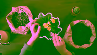 Flocksy Rediscover the Joy of Creating Ad Commercial Brand Imagery Photoshoot 2
