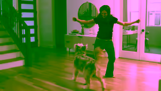 NEXTSTAR NEXTSTAR Protect What Matters 30 Sec BM Dog Ad Commercial Brand Imagery Photoshoot 2