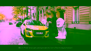 Peugeot Peugeot X Born Free Powered by Lions Ad Commercial Brand Imagery Photoshoot 1