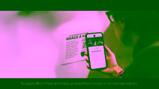 Peugeot Peugeot X Born Free Powered by Lions Ad Commercial Brand Imagery Photoshoot 2