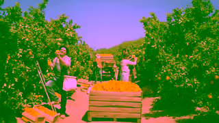 Tropicana Juice The Juice That Starts It All Ad Commercial Brand Imagery Photoshoot 0