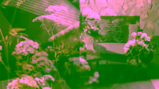 Urban Barn Escape to Home Summer Ad Commercial Brand Imagery Photoshoot 0