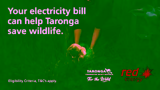 Red Energy Switch to Red Wildlife Saver Ad Commercial Brand Imagery Photoshoot 0