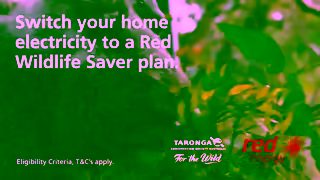 Red Energy Switch to Red Wildlife Saver Ad Commercial Brand Imagery Photoshoot 1