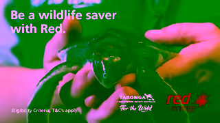 Red Energy Switch to Red Wildlife Saver Ad Commercial Brand Imagery Photoshoot 2