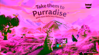 Whiskas Take them to PURRADISE Ad Commercial Brand Imagery Photoshoot 2