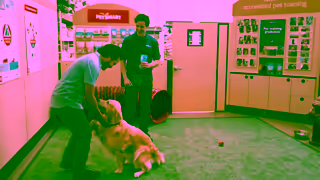 PetSmart Say Id Do Anything Canada Evergreen Ad Commercial Brand Imagery Photoshoot 0