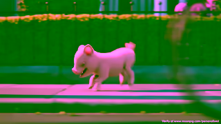 Moonpig MP FD 25 Landscape 20 sec Ad Commercial Brand Imagery Photoshoot 0