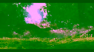 Curzon Film Flow Book Tickets In Cinemas 21 March Ad Commercial Brand Imagery Photoshoot 0