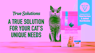 Blue Buffalo VID Google 10s NTH CatPortfolio EN NIN TSCD SAS NP NL no isci LM 16x9 Ad Commercial Brand Imagery Photoshoot 0