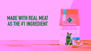 Blue Buffalo VID Google 10s NTH CatPortfolio EN NIN TSCD SAS NP NL no isci LM 16x9 Ad Commercial Brand Imagery Photoshoot 1