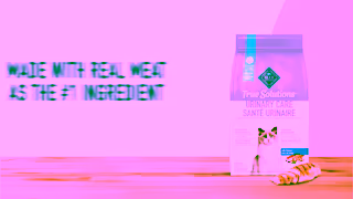 Blue Buffalo VID Google 10s NTH CatPortfolio EN NIN TSCD SAS NP NL no isci LM 16x9 Ad Commercial Brand Imagery Photoshoot 2