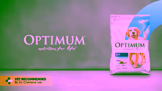 Optimum Pet OPTIMUM Lucky You Do Adult Dog 16x9 6s 2025 Ad Commercial Brand Imagery Photoshoot 2