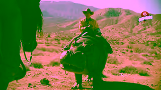 Airheads Horses 15 Ad Commercial Brand Imagery Photoshoot 0