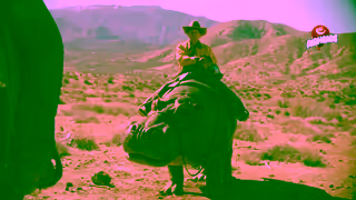 Airheads Horses 15 Ad Commercial Brand Imagery Photoshoot 1