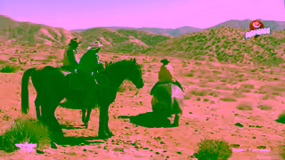 Airheads Horses 15 Ad Commercial Brand Imagery Photoshoot 2