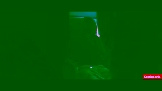 Scotiabank Scotiabank Youre Richer Than You Think Ad Commercial Brand Imagery Photoshoot 1