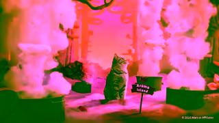 Whiskas Take them to PURRADISE Ad Commercial Brand Imagery Photoshoot 1