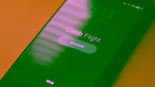 Allbirds.com PM 25Q3 Tree Collection COMFORT IN CHAOS 30 16x9 Ad Commercial Brand Imagery Photoshoot 0