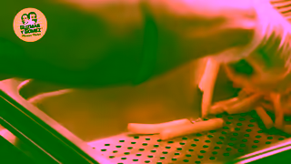 Guzman Y Gomez Cali Burrito Nacho Fries Ad Commercial Brand Imagery Photoshoot 0