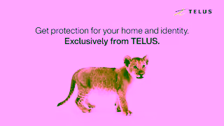 TELUS Total Security 15 TELUS Ad Commercial Brand Imagery Photoshoot 2