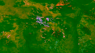 Last Epoch Gameplay Combat 16x9 Pre Order Now Ad Commercial Brand Imagery Photoshoot 0