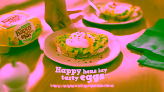 The Happy Egg Company The happy egg co Happy Hens Lay Tasty Eggs Ad Commercial Brand Imagery Photoshoot 2