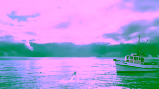 John West John West Salmon Fillet Ad Commercial Brand Imagery Photoshoot 0