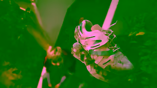 Jif NEW JIF Cleanboost Cleaners Made with Natural cleaning agents Ad Commercial Brand Imagery Photoshoot 1