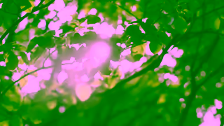 Leclerc GoPure Fall campaign EN Ad Commercial Brand Imagery Photoshoot 2