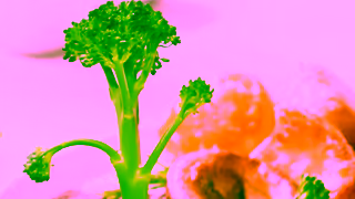 Tenderstem Broccoli Tenderstem Easter roast Ad Commercial Brand Imagery Photoshoot 1