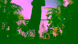 Palmolive Palmolive Just Add Nature Ad Commercial Brand Imagery Photoshoot 0